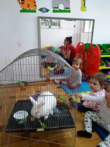 2018-03-27-PHOTO-00000003