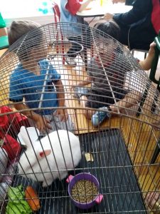 2018-03-27-PHOTO-00000024