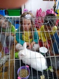 2018-03-27-PHOTO-00000025