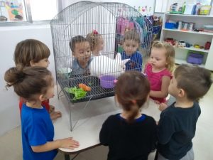 2018-03-27-PHOTO-00000091